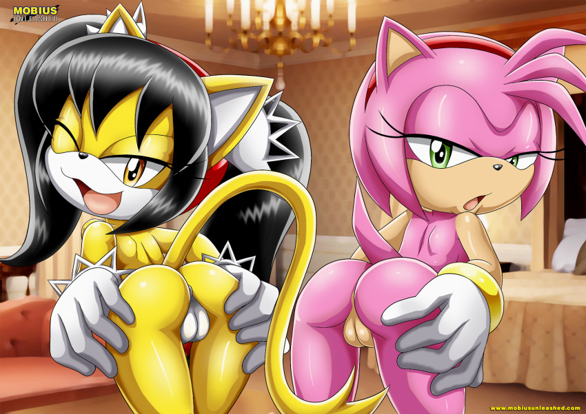 amy and sonic unleashed mobius Videl de dragon ball z