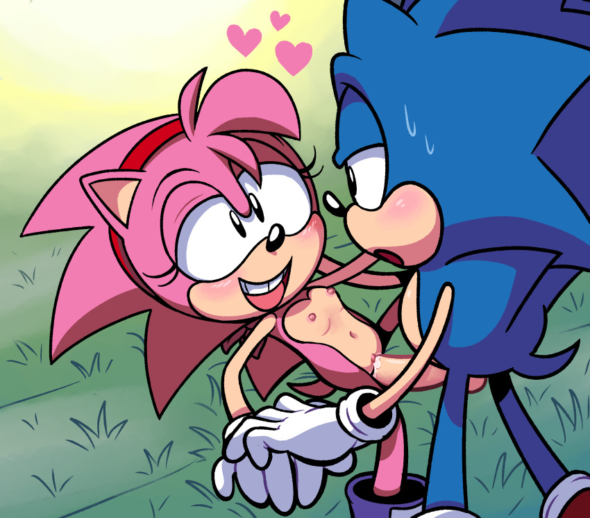 hedgehog porn amy the sonic Nora to oujo to noraneko heart switch